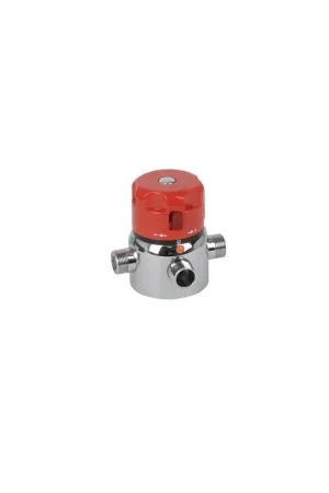 Livraison Express Mitigeur thermostatique collectif de bouclage SE M1"1/4- DIFF - 111322