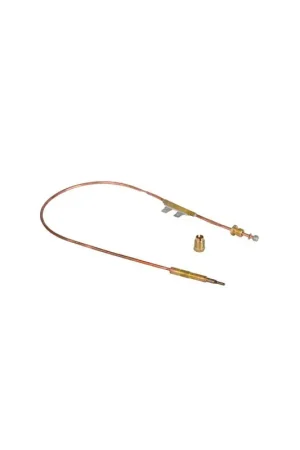 Achetez Aujourd'hui Thermocouple 500mm qot avec TTB- AOSMITH - 0071872(S)