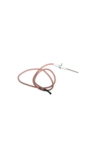Achat Immédiat Electrode ionisation avec câble- CHAPPEE - JJJ008620290