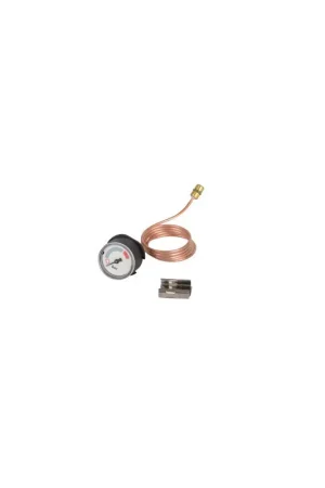 Livraison Express Manomètre- VAILLANT - 180982