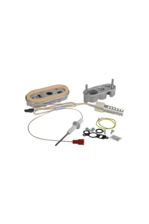 Ensemble électrode allumage ionisation- BOSCH - 7736700318 Retour Gratuit