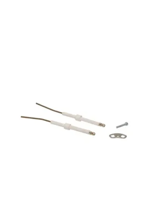 Nouvelle Collection Electrode- BOSCH - 8716860451