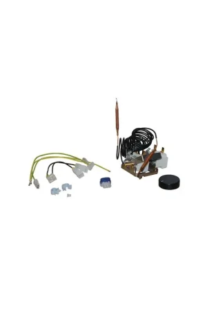 Thermostats regulation + etriers (kit)- ATLANTIC - 070141 Meilleur Prix