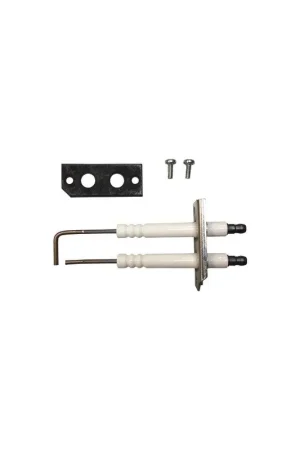 electrode d'allumage- BOSCH - 8718595817 Promotion Saisonnière