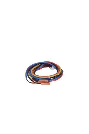 Jeu de sondes vannes a et b ao- ATLANTIC - 898644 Offre Exclusive