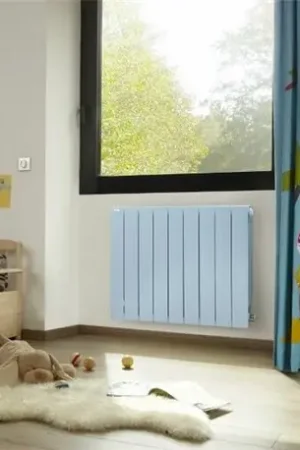 Achat Immédiat Radiateur fluide caloporteur Atoll TAX/F 2000 Watts - Réf : TAX-200-125/F