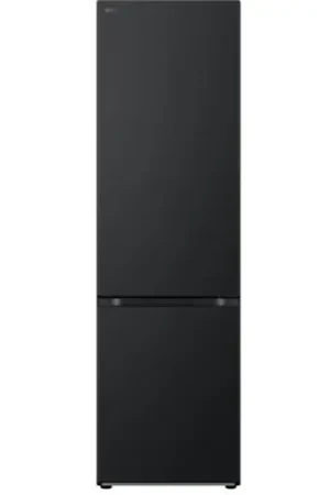 Remise Réfrigérateur GBV5240DEP 387 Litres combiné