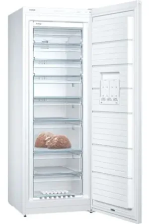 Prix Réduit Congélateur armoire GSN58VWEV 365 Litres
