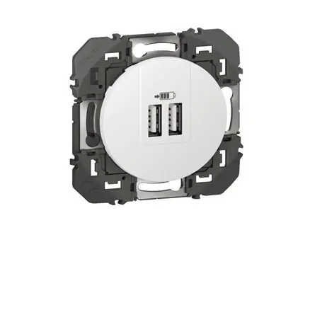 Usine Directe Prises USB Legrand