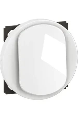 Acheter En Ligne Lot de 12 Interrupteurs ou va-et-vient 10A Céliane Blanc sans plaque CF0001