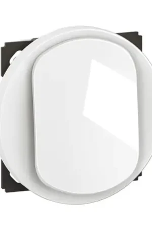 Achetez Aujourd'hui Lot de 12 Poussoirs 6A Céliane sans plaque Blanc CF0031