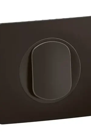 Achetez Aujourd'hui Lot de 12 Poussoirs 6A Céliane avec plaque Noir CJ0031