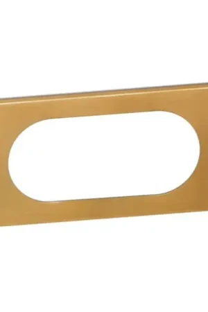 Achat Immédiat Plaque de finition Céliane Matières 4 à 5 modules finition Bronze Doré 069135